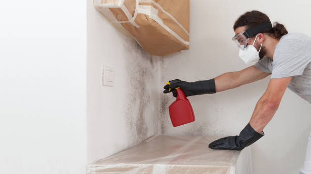 Professional Crawl Space Mold Removal technician working in Oakland, NJ