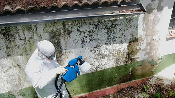 Trusted Crawl Space Mold Removal service in Oakland, NJ - Cheap Mold Removal